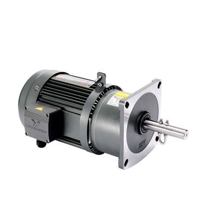 400W Motor van het de Motor de Schacht Opgezette Toestel van het snelheidsreductiemiddel voor Kip die Landbouwbedrijf opheffen