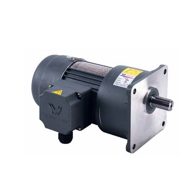 Geïnstalleerde de Fasemotor met geringe geluidssterkte van IP54 3 met Rem Horizontaal