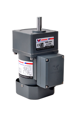 AC 6 - de Compacte Aangepaste Motor van 250W 220V voor Transportband